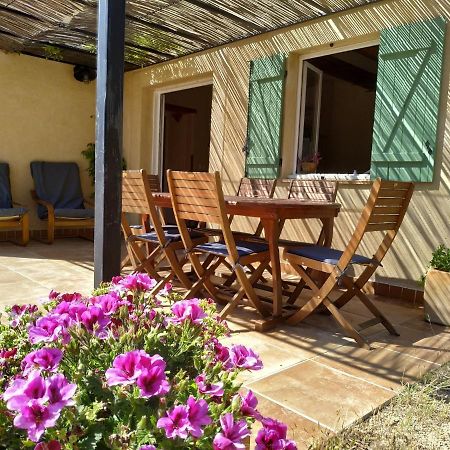 Вілла L'Arbre A Soleil Aigues-Vives  Екстер'єр фото