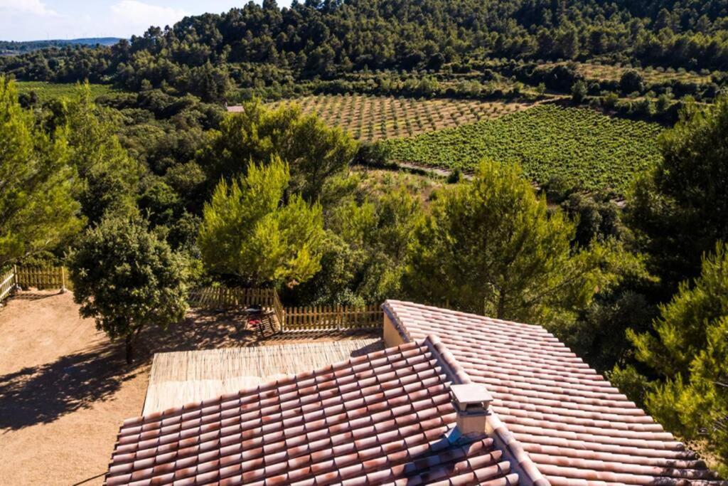 Вілла L'Arbre A Soleil Aigues-Vives  Екстер'єр фото
