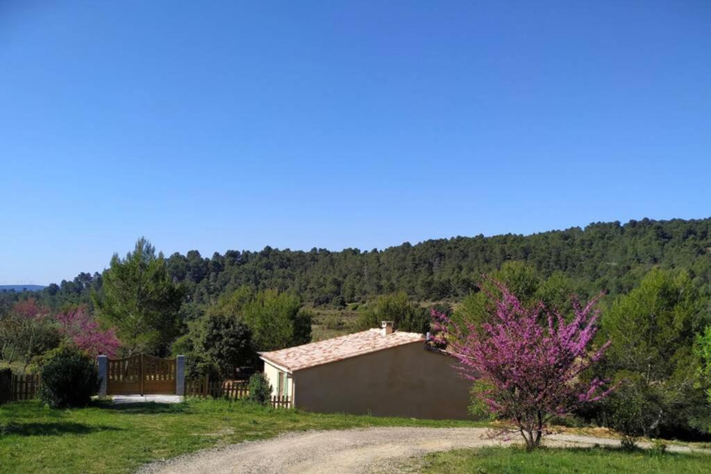 Вілла L'Arbre A Soleil Aigues-Vives  Екстер'єр фото