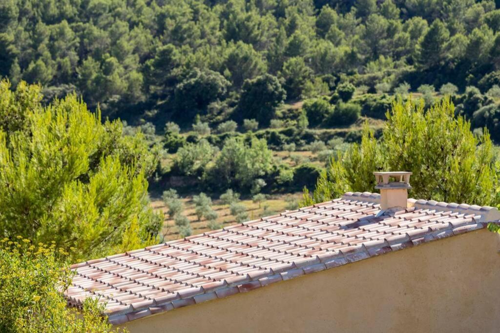 Вілла L'Arbre A Soleil Aigues-Vives  Екстер'єр фото