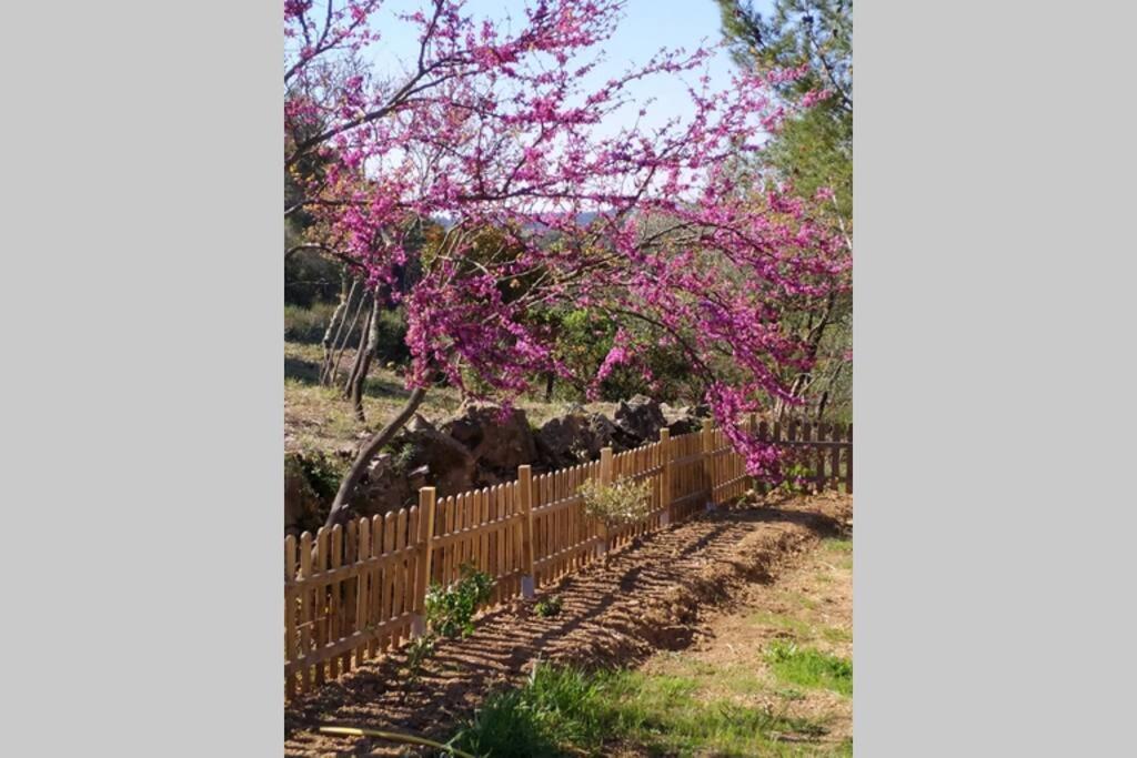 Вілла L'Arbre A Soleil Aigues-Vives  Екстер'єр фото