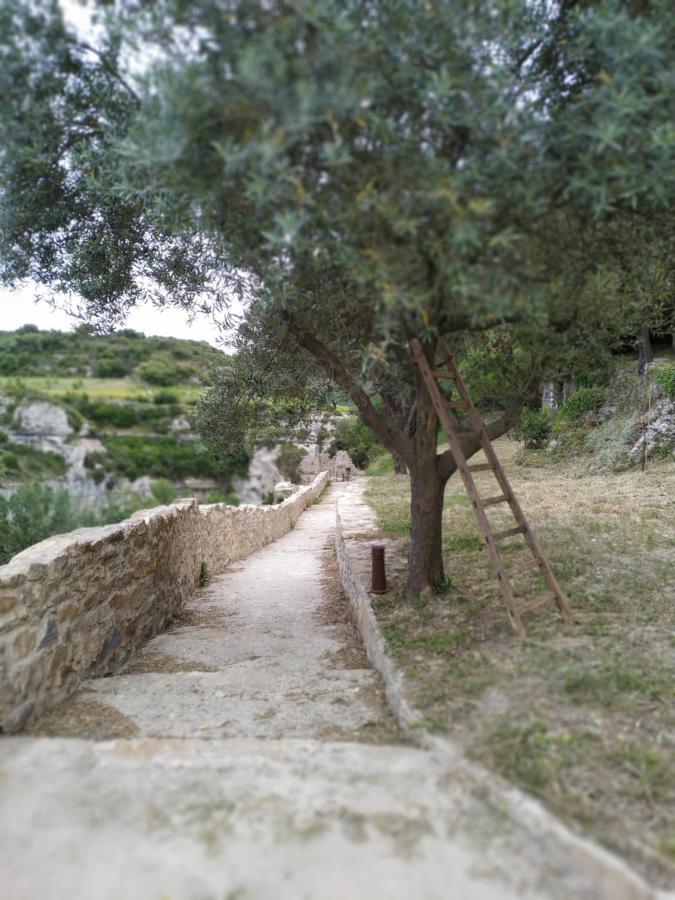 Вілла L'Arbre A Soleil Aigues-Vives  Екстер'єр фото
